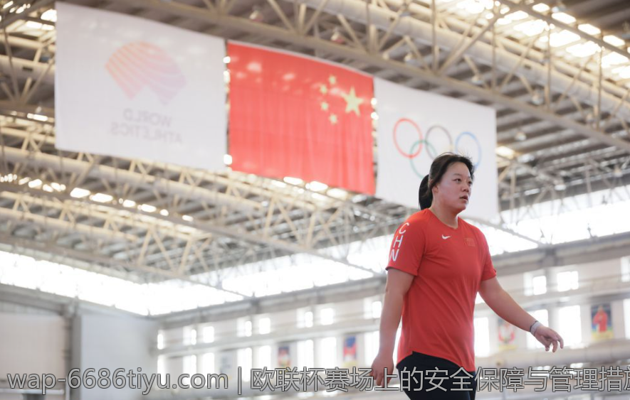 欧联杯赛场上的安全保障与管理措施